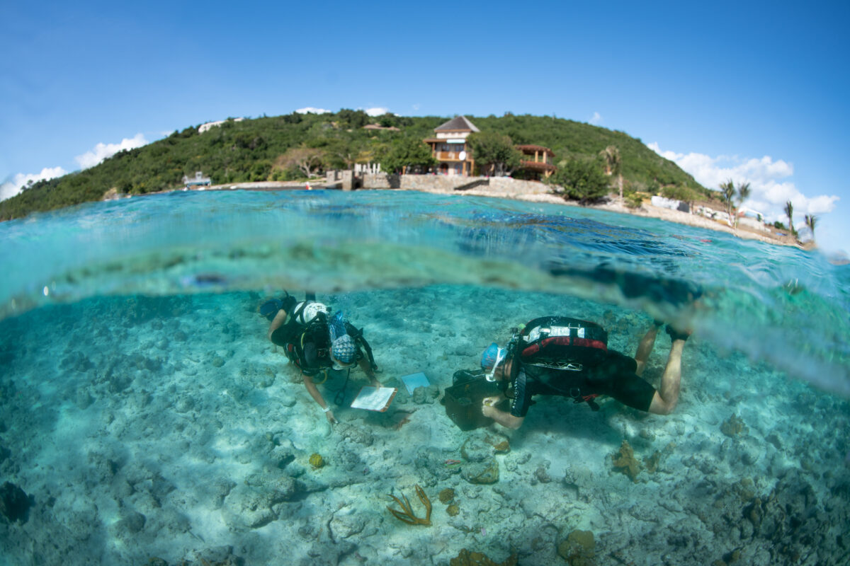 Scuba Divers in Lovango Bay