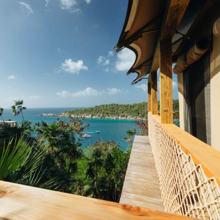 TEMP Lovango Bay Patio Palm Trees Small Virgin Islands Destination