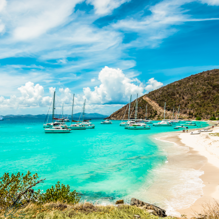Taste of Lovango | Caribbean Festival