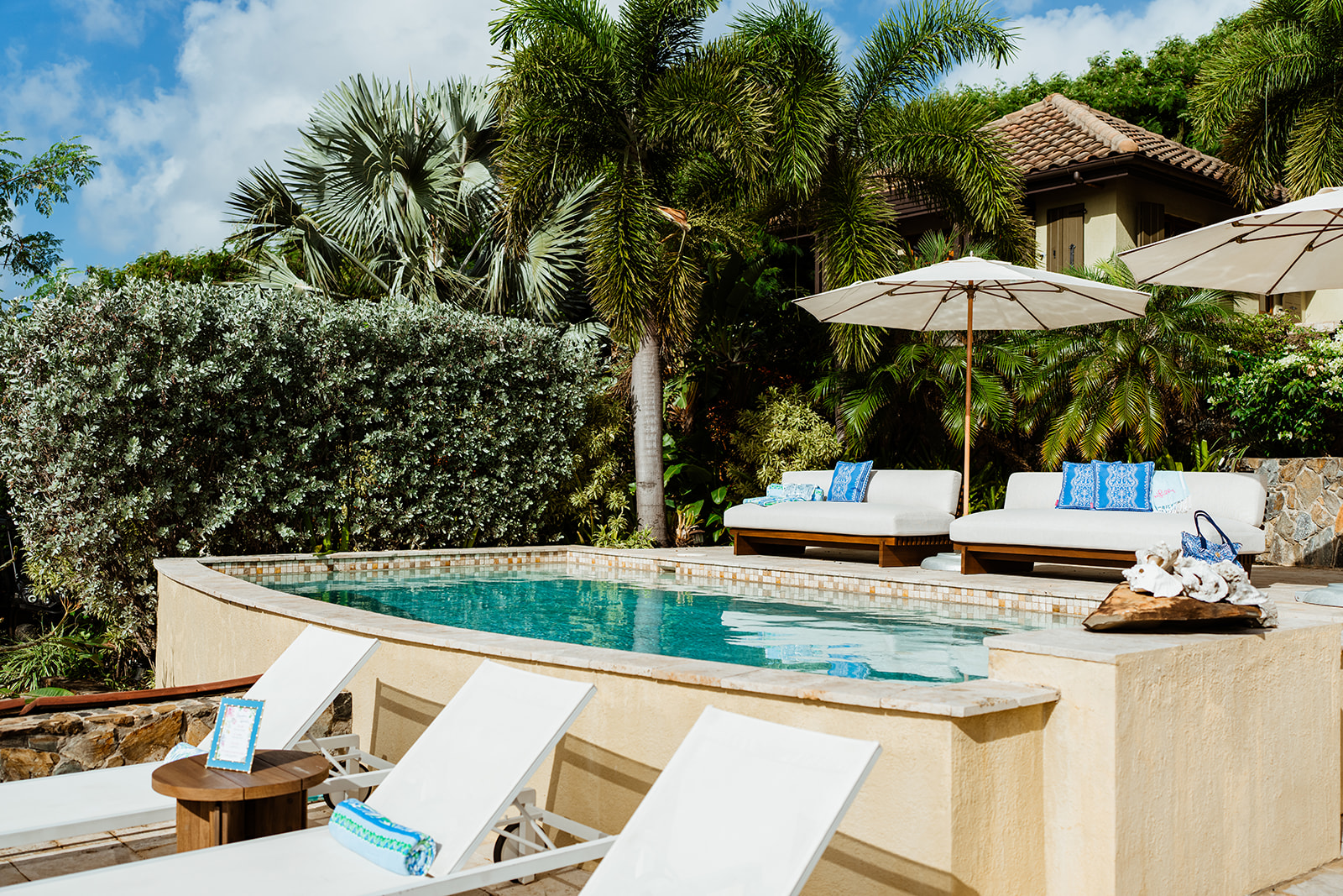 Private plunge pool surrounded by tropical gardens and lounge chairs at Lovango Resort & Beach Club
