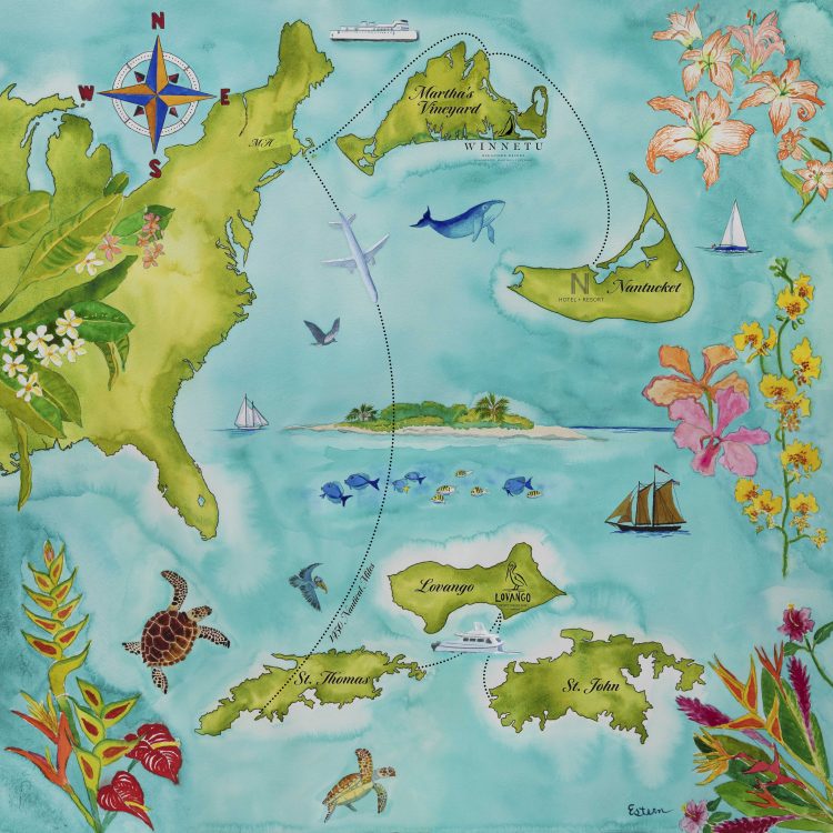 USVI's Premiere Destination The Lovango Resort and Beach Club